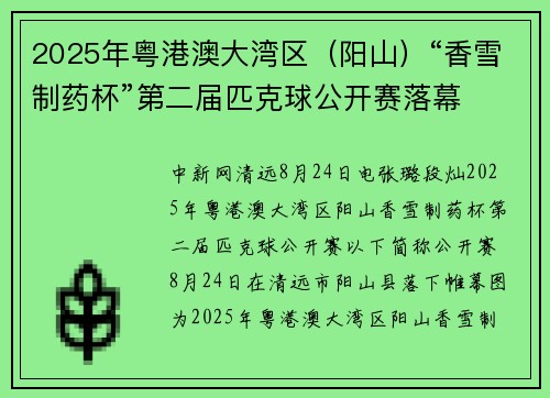 2025年粤港澳大湾区（阳山）“香雪制药杯”第二届匹克球公开赛落幕